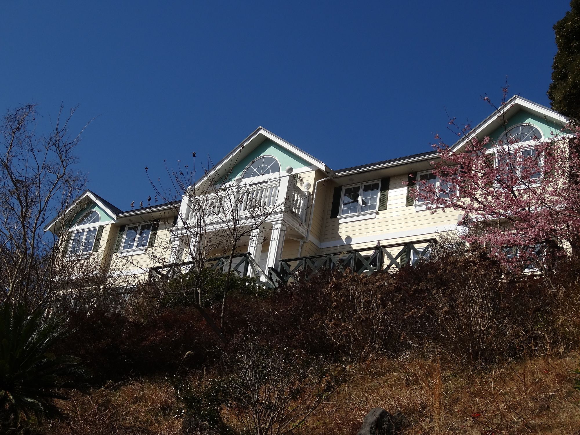 Отель Liberty Hill Ито Экстерьер фото